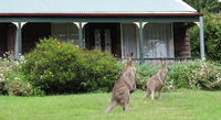 Cedar Lodge Cabins - Seniors Australia