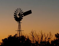 White Gums Motor Inn - Qld Realsetate