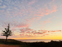 Highway One Ceduna - Internet Find