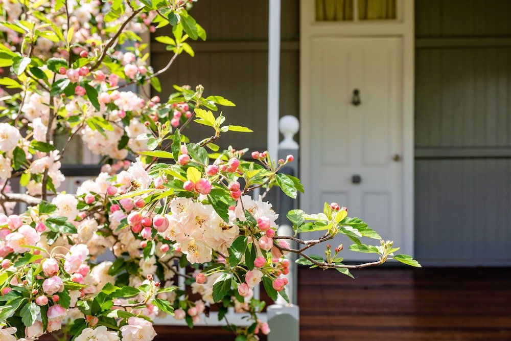 Apple Blossom Cottage