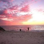 Sea Shanties - Suburb Australia