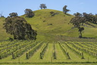 Blue House at Mountainside Wines - Australian Directory