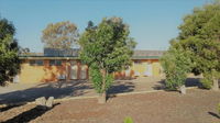 Junee Motor Inn - Internet Find