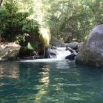 Daintree Secrets Rainforest Sanctuary - Click Find