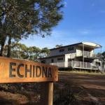 Echidna on Bruny - Internet Find