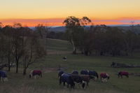 High Country Trail Rides  Farm Stay - Petrol Stations