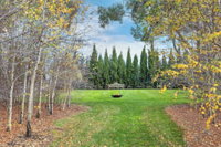 Orchards at Spring Vale Farm - Click Find