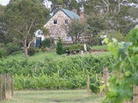 Craigie Knowe Cottage  Vineyard - DBD