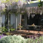 Windrush BnB Comboyne Australia - Renee