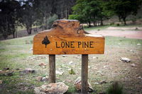 Lone Pine Farmhouse - Petrol Stations