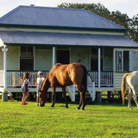 Cedar Glen Farmstay - Internet Find