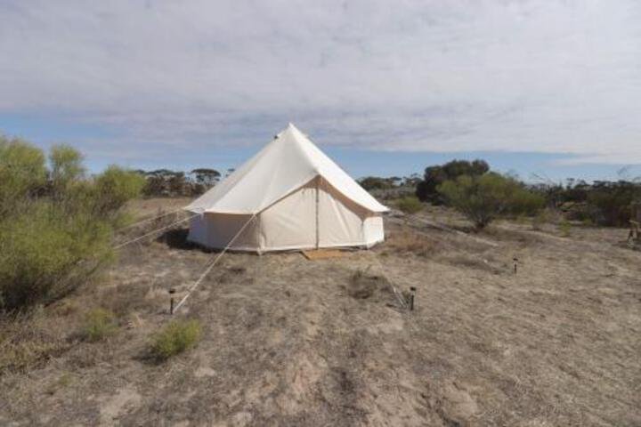 Starfields Luxury Camping - thumb 5