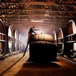 Pieter van Gent Winery  Vineyard - Click Find
