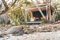 Business in Wilson Island QLD Click Find Click Find