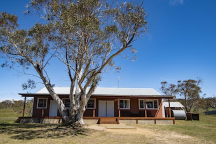 Rocky Plain NSW DBD