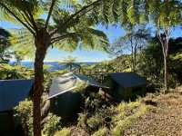 Binna Burra Rainforest Campsite - Click Find