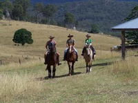 Lillydale Farmstay - Internet Find