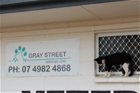 Gray Street Veterinary Clinic - Renee