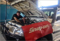 Shannons Auto Electrical - Renee