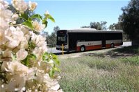 Buslink - Suburb Australia