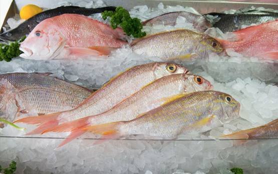 Mooloolaba Fish Market - Australian Directory