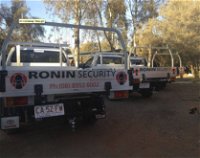 Ronin Security Technologies - LBG