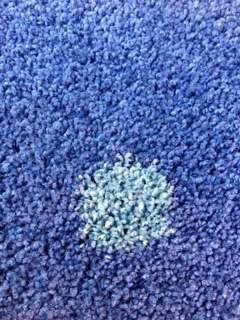 Upholstery Cleaning Click Find