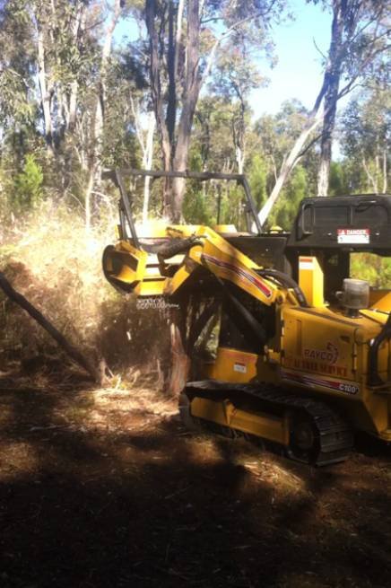 A1 Tree Service NSW Pty Ltd - DBD
