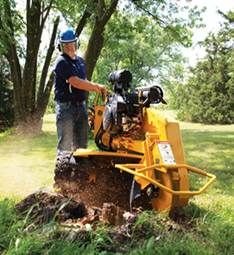 Complete Tree Management - thumb 5