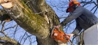 Lennox Head Tree Care - Click Find