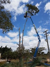 Trees North - Suburb Australia