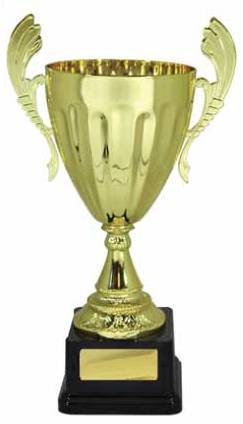 Cooloola Trophies  Engraving - Click Find