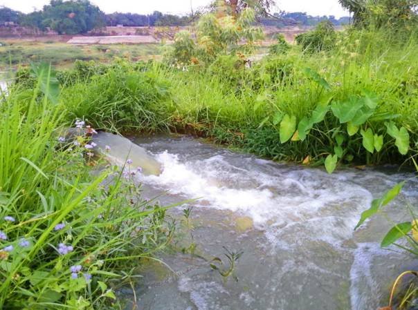 Taree Pumps  Irrigation - Click Find