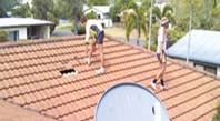 Ninja Roofing Pty Ltd - DBD