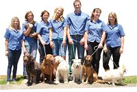 Coffs Harbour Veterinary Hospital - Click Find