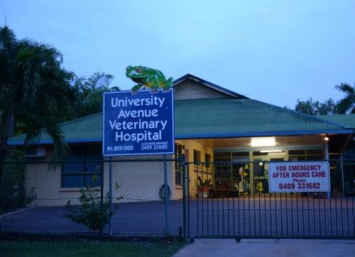 University Avenue Veterinary Hospital - thumb 1