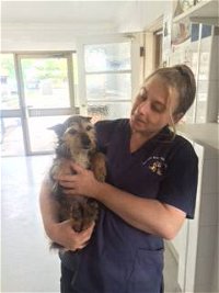 Bateau Bay Veterinary Hospital - Internet Find
