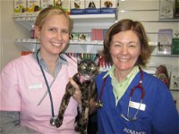 Andergrove Veterinary Clinic - Internet Find