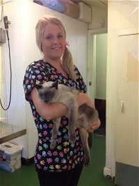Raymond Terrace Veterinary Clinic - Click Find