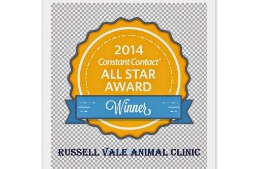 Russell Vale Animal Clinic - thumb 3