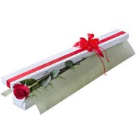 Beerwah Flowers  Gifts - Click Find