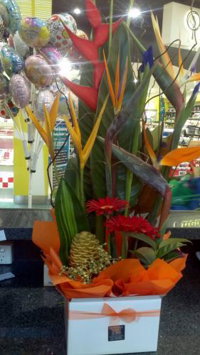 Kawana FloristCotton Tree House of Flowers - Click Find