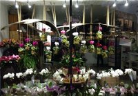 Rosita Floral Service - DBD