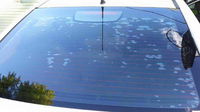 Staunch Window Tinting - Click Find