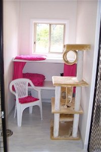 Carlyn Park Cattery - Click Find