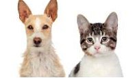 Hillcrest Boarding Kennels  Cattery - Click Find