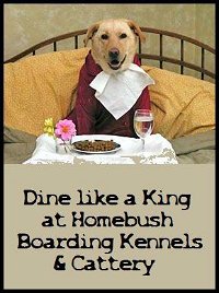 Homebush Boarding Kennels  Cattery - Renee