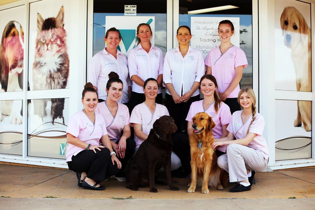 Maraboon Veterinary Surgery - Internet Find