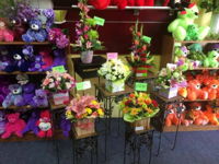 Flower Box Florist - Realestate Australia