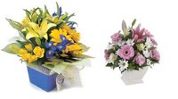 Palmwoods Florist  Gifts - Adwords Guide
